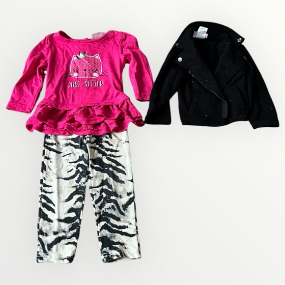 Girl’s 18 months Pink Cat Top and Zebra Print Leggings Set - Picture 1 of 1